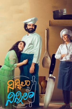 Ninnila Ninnila (2021) Hindi Movie 720p HDRip x264 [1GB] - Movierulz