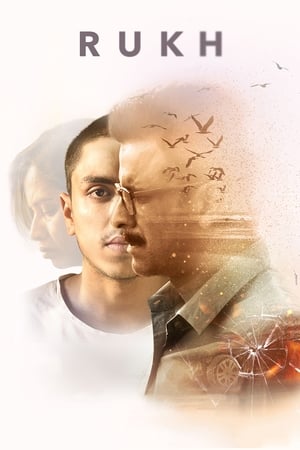 Rukh 2017 Movie 720p HDRip x264 [900MB] - Movierulz